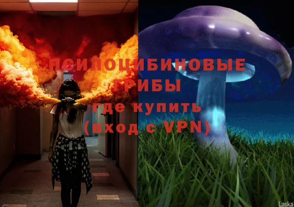 трава Нея