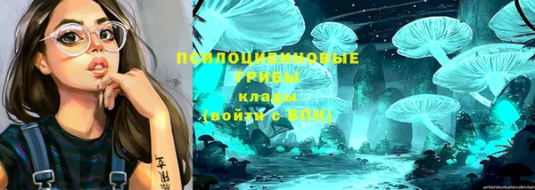 амф Новозыбков