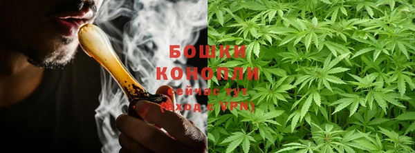 амф Новозыбков