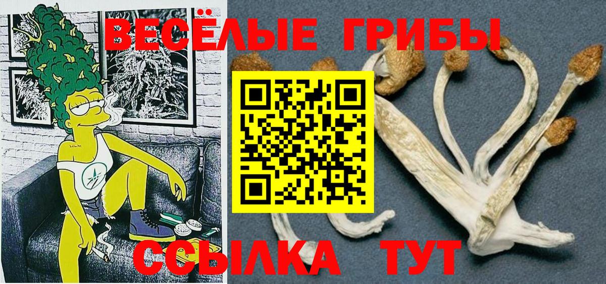 Конаково  Галлюциногенные грибы MAGIC MUSHROOMS  Вход с VPN 